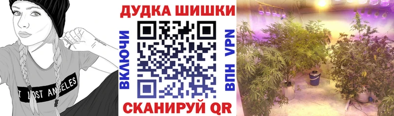 Купить наркотик аптеки Бавлы MEGA рабочий сайт  Каннабис  Мефедрон  Гашиш  COCAIN  A PVP 