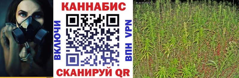 Бошки Шишки OG Kush Бавлы
